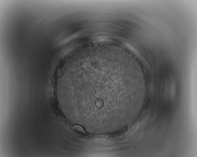 X0000089830823200707051037