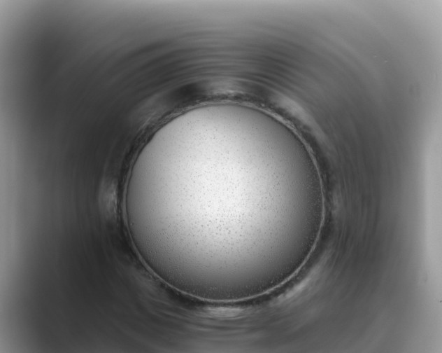 X0000089830825200707051037