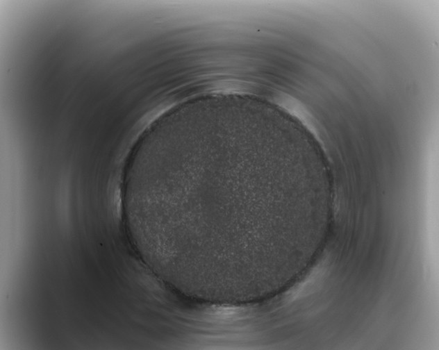 X0000089830829200707051037