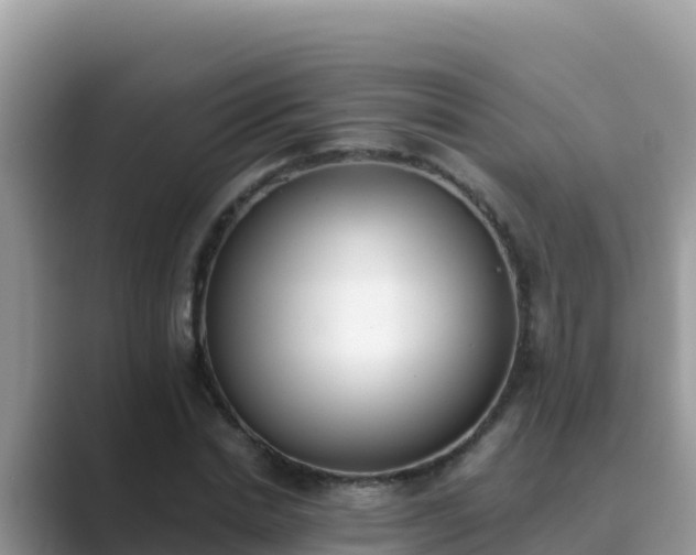 X0000089830830200707051037