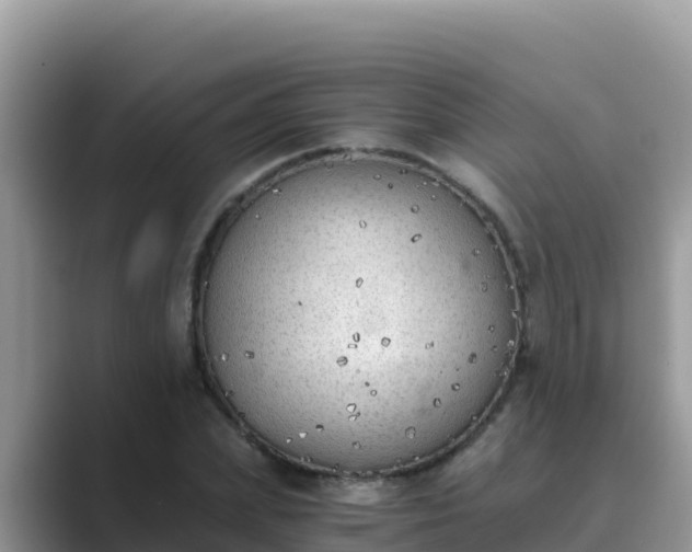 X0000089830831200707051037