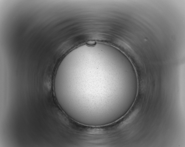 X0000089830833200707051037