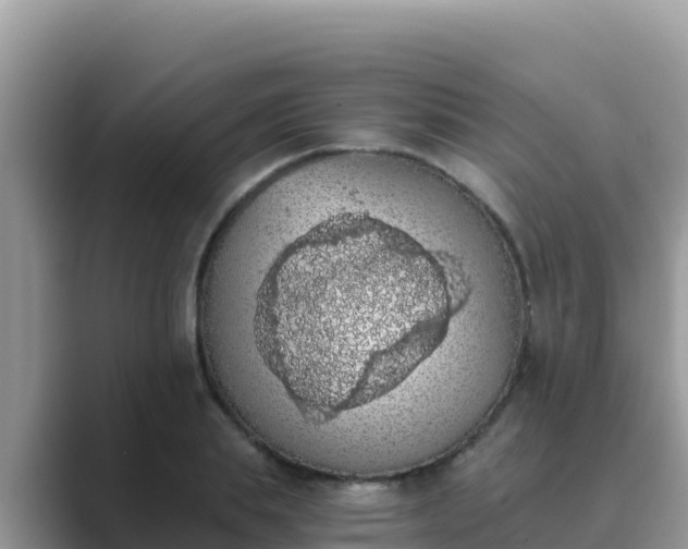 X0000089830839200707051037