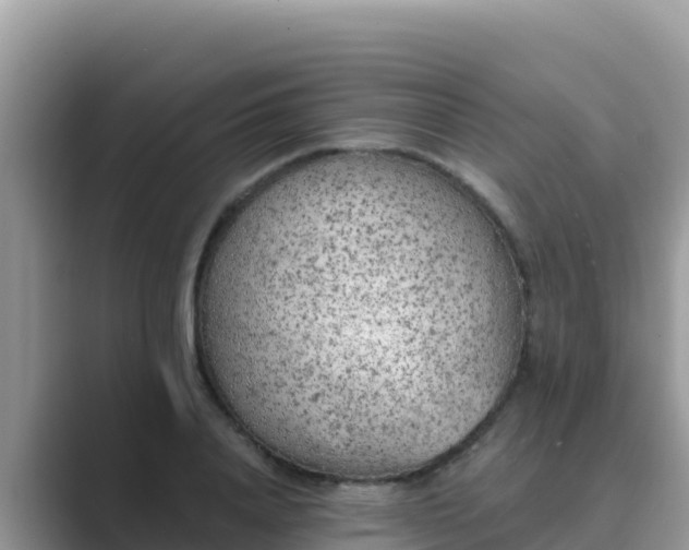 X0000089830840200707051037