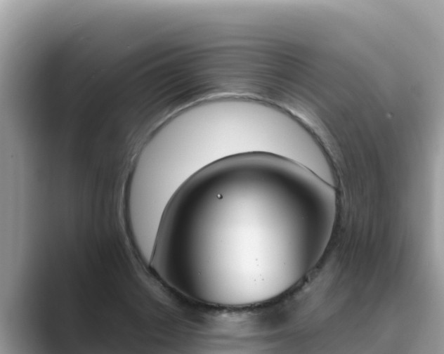 X0000089830842200707051037