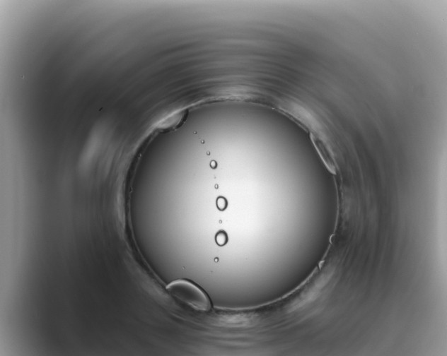 X0000089830843200707051037