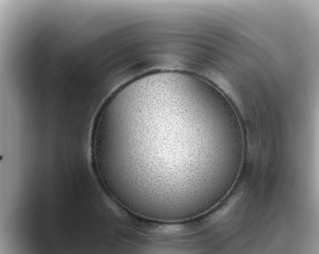 X0000089830845200707051037