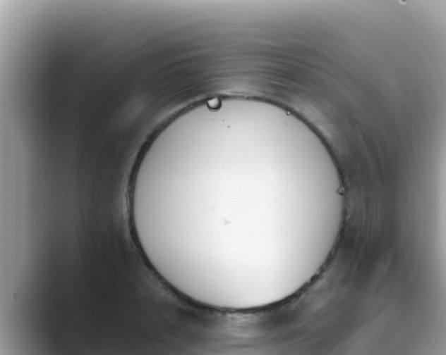 X0000089830848200707051037