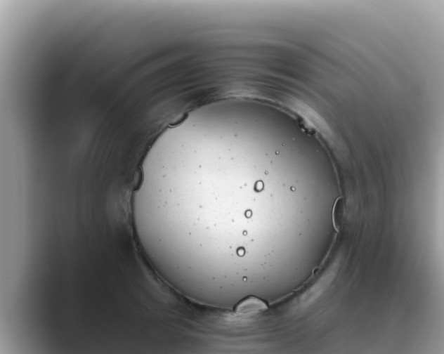 X0000089830849200707051037