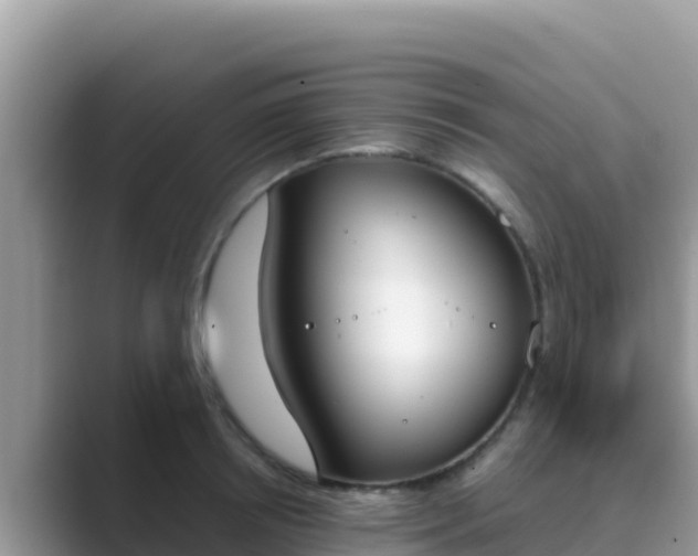 X0000089830850200707051037