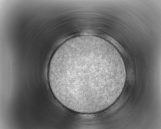 X0000089830856200707051037