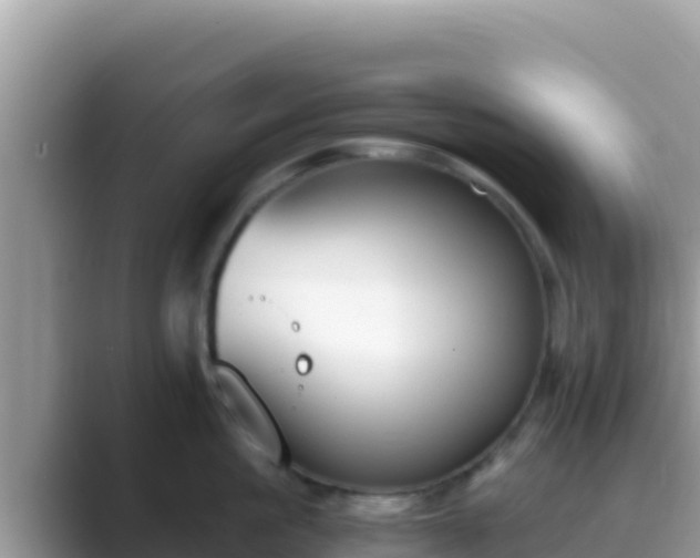 X0000089830861200707051037