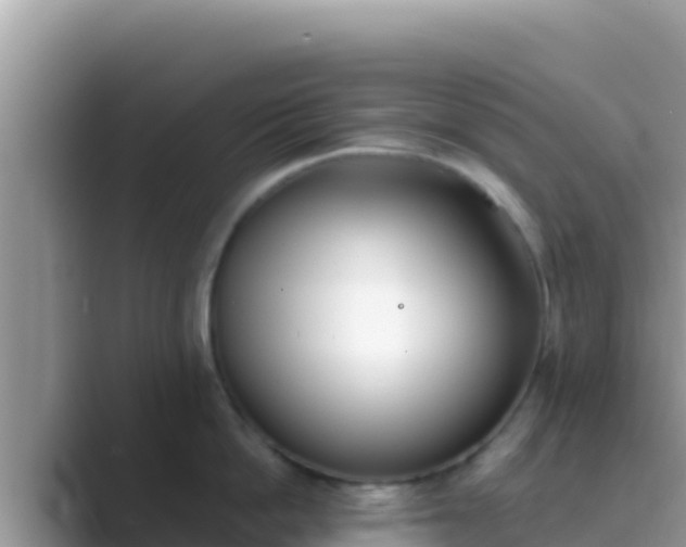 X0000089830862200707051037