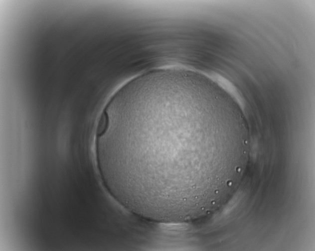 X0000089830863200707051037