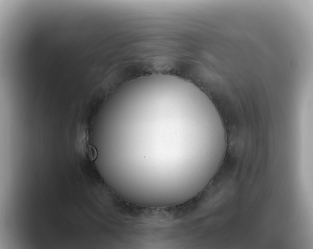 X0000089830866200707051037