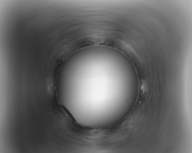 X0000089830867200707051037