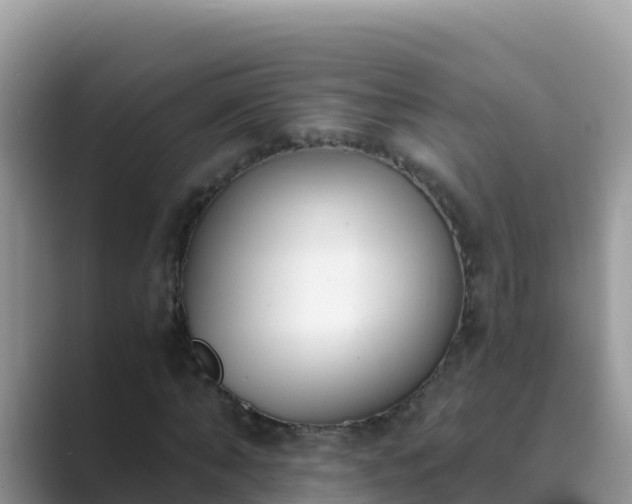 X0000089830870200707051037