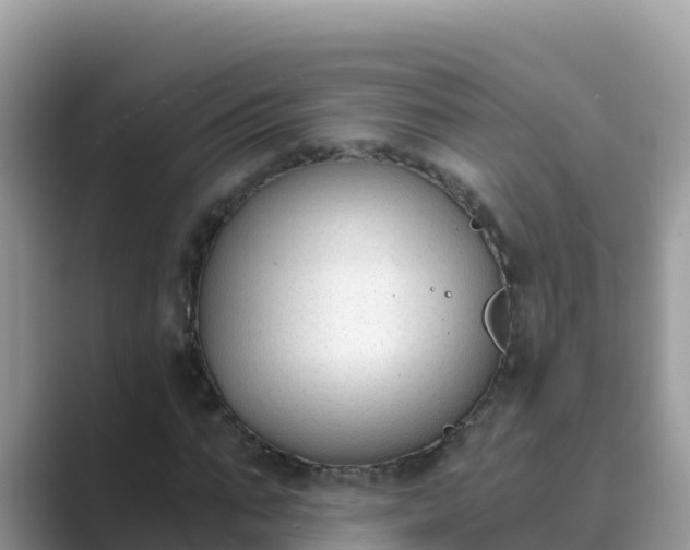 X0000089830871200707051037