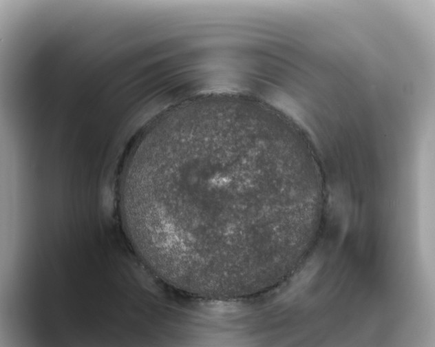 X0000089830874200707051037