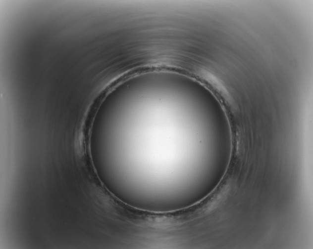 X0000089830876200707051037