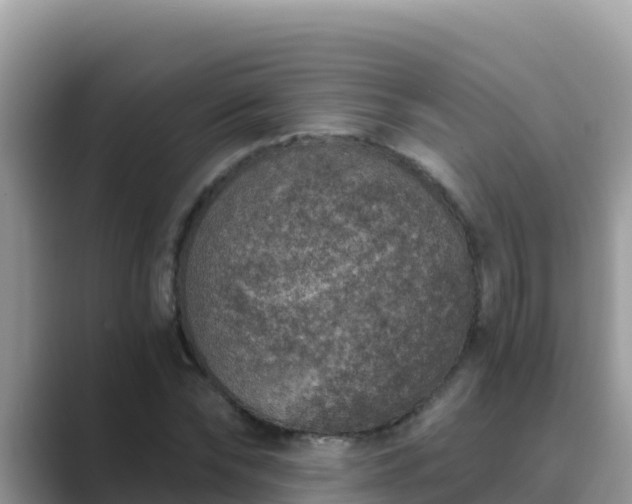 X0000089830878200707051037