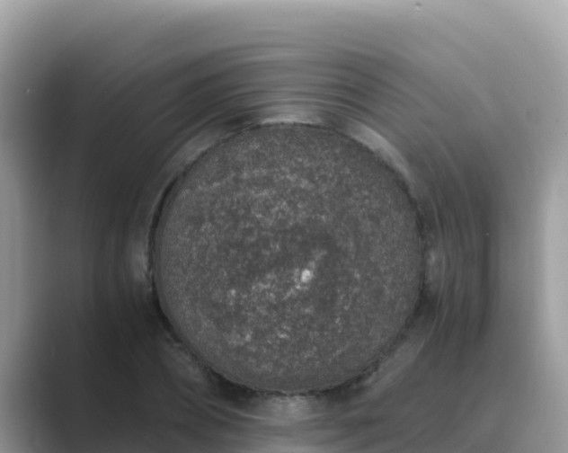 X0000089830882200707051037