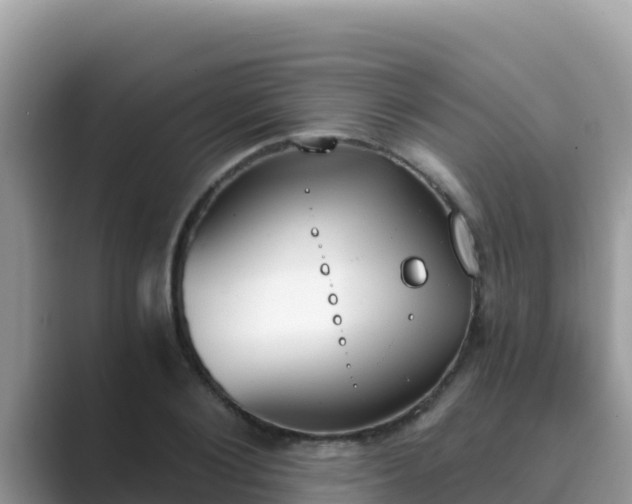 X0000089830884200707051037