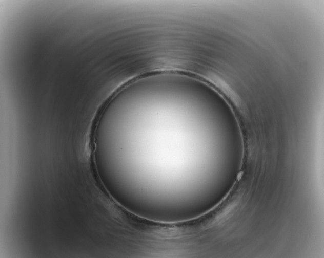 X0000089830885200707051037