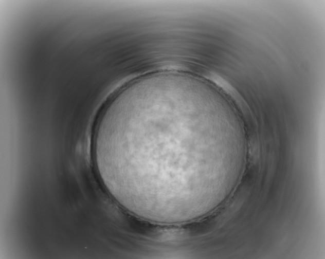 X0000089830886200707051037