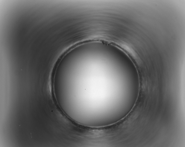 X0000089830888200707051037