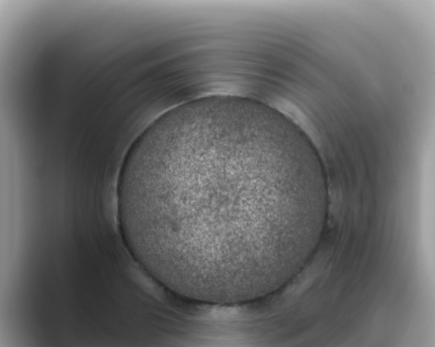 X0000089830890200707051037