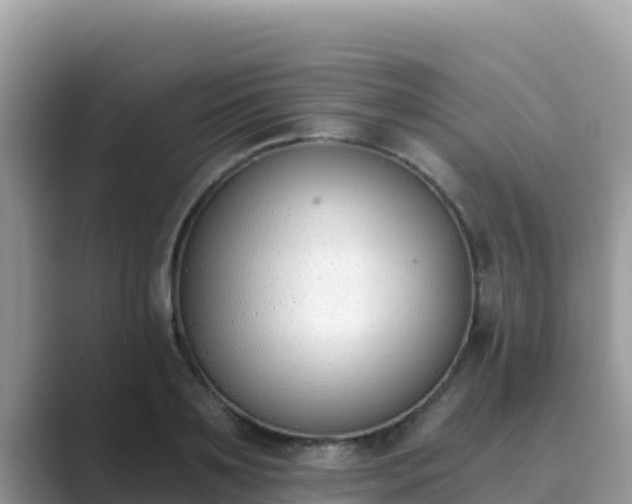 X0000089830891200707051036