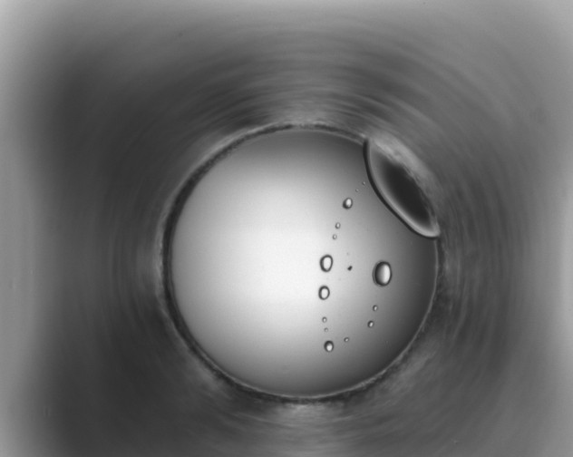 X0000089830894200707051036