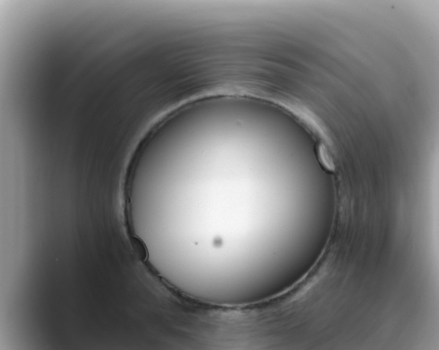 X0000089830896200707051036