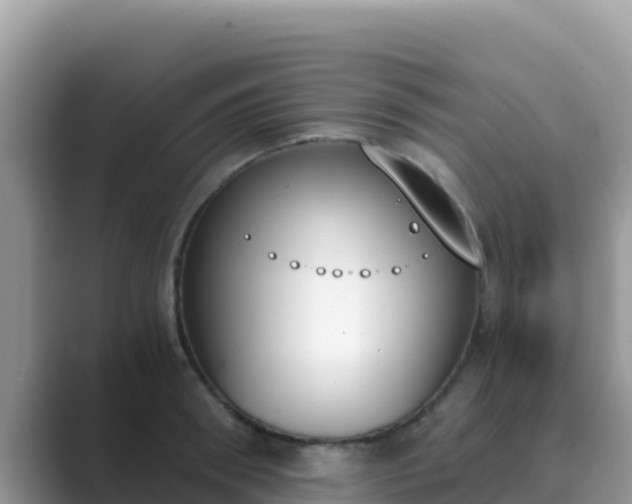 X0000089830898200707051036