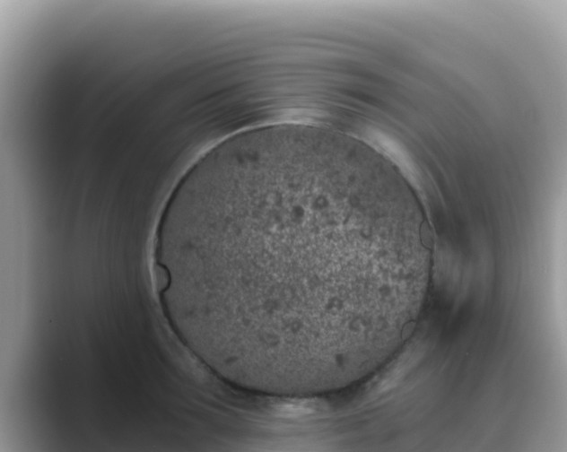 X0000089830899200707051036