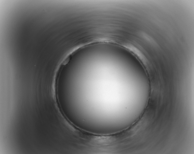 X0000089830902200707051036