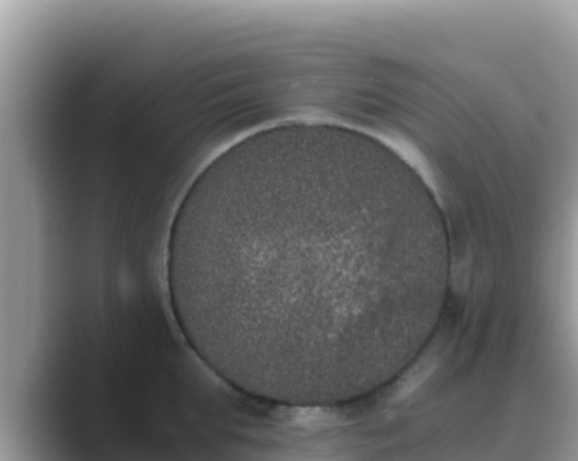 X0000089830903200707051036