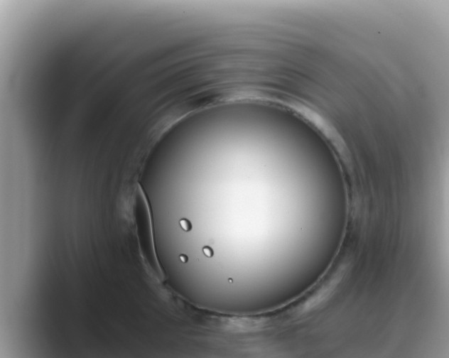 X0000089830905200707051036