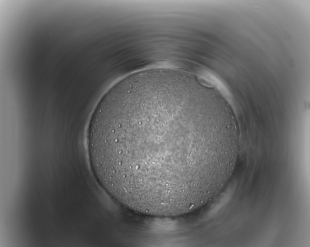 X0000089830907200707051036