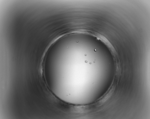 X0000089830908200707051036