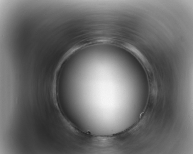 X0000089830910200707051036