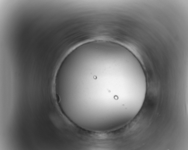 X0000089830911200707051036