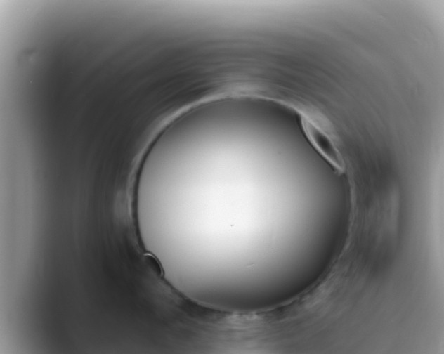 X0000089830912200707051036