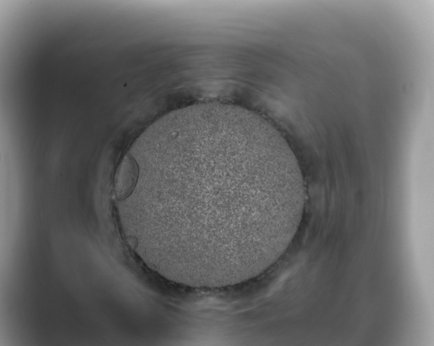 X0000089830913200707051036