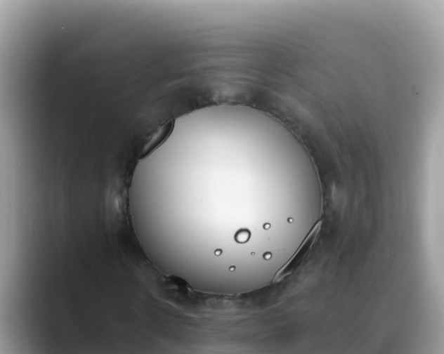 X0000089830914200707051036