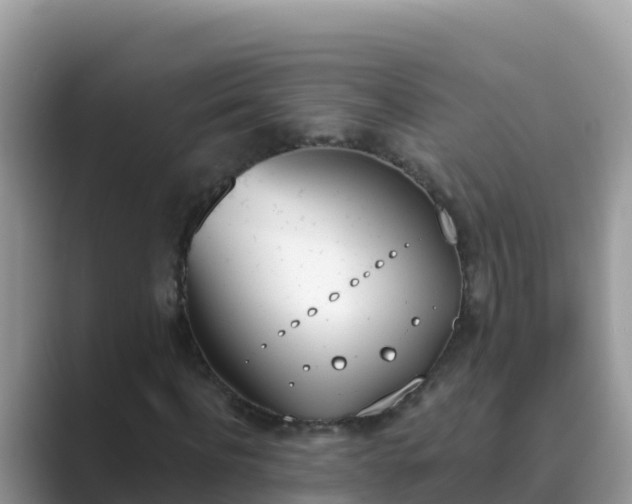 X0000089830916200707051036