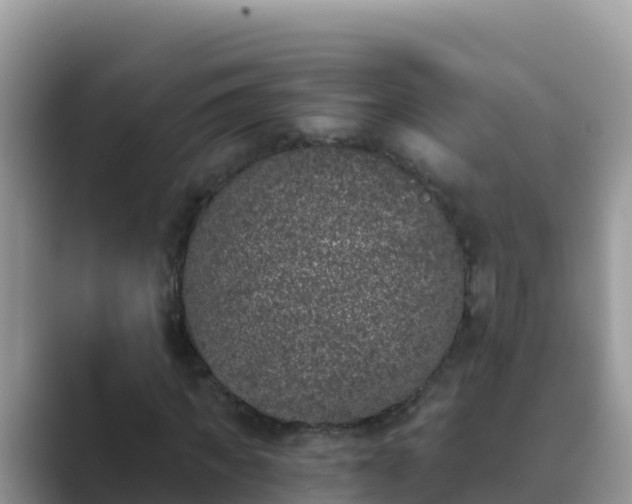 X0000089830917200707051036