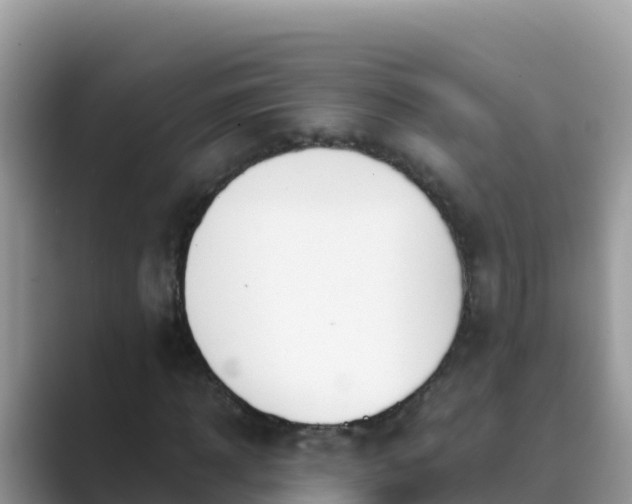 X0000089830918200707051036