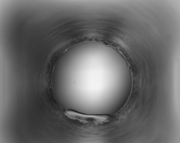 X0000089830919200707051036